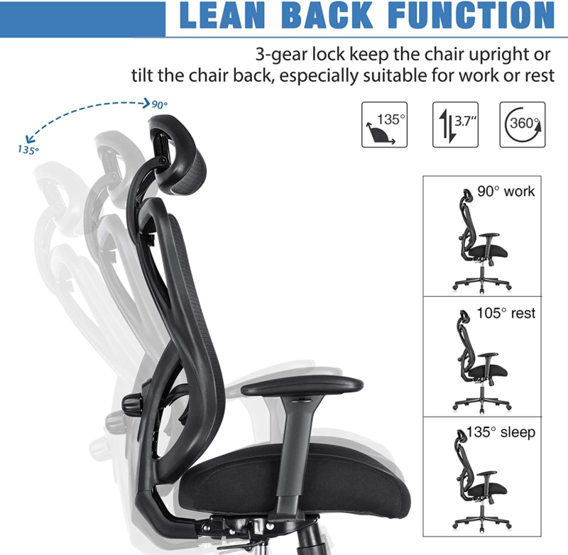 Sunnow Ergonomic Office Chair With Adjustable Lumbar Support, High-Back ...